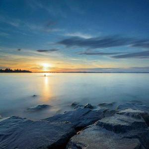 欧美在线性爱视频
